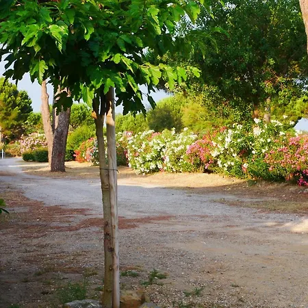 Palmier Soleil 410 * Gruissan