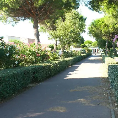 Palmier Soleil 410 Gruissan